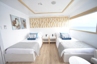 Sea Star Journey Twin Cabin