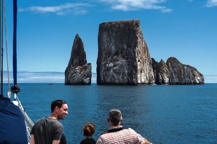 Beagle Kicker Rock