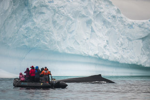 humpback-whale-zodiac-cruising-antarctica-polar-wildlife-wilderness-voyage.jpg