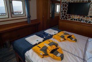 Ocean Adventurer Suite