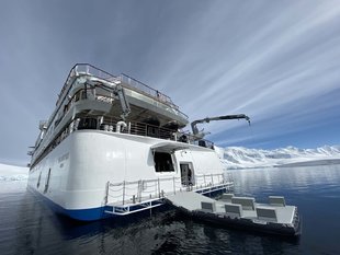 platform-Greg-Mortimer-polar-arctic-antarctic-cruise-ship-wildlife-polar-bear-penguin-holiday-vacation.jpg