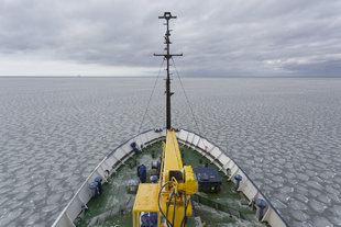 Shokalskiy sailing through ice