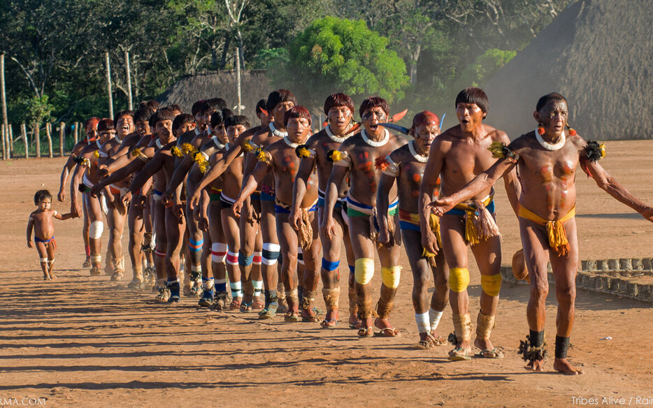 Amazon Rainforest | Indigenous People | Deforestation & Conservation