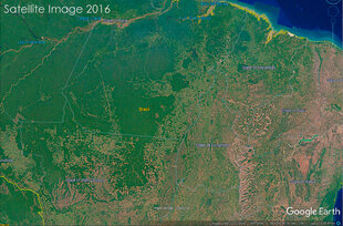 By 2016 there has been significant deforestation