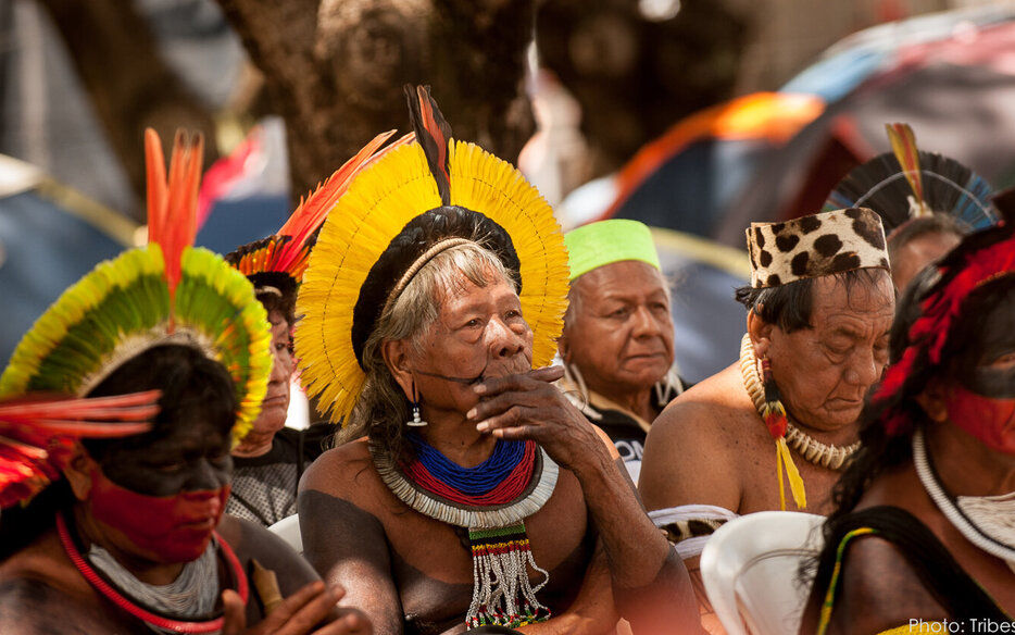 Aqua-Firma supports Rainforest Concern Amazon COVID-19 Coronavirus