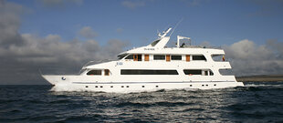 Our April 2021 Wildlife Yacht Safari will be onboard this lovely Monohull Yacht
