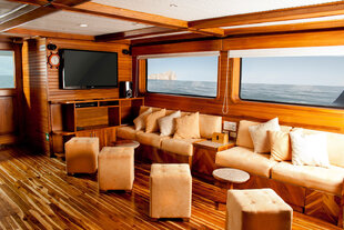 April 2021 Wildlife Cruise - Yacht salon