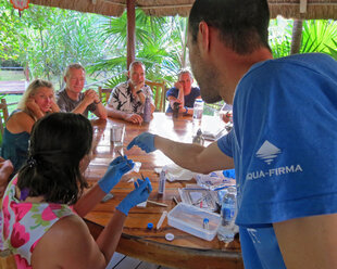 Preparing a Whale Shark skin biopsy