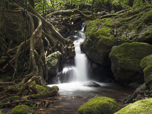 Waterfall within the Masoala National Park
