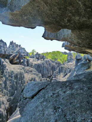 Tsingy overhang in the Ankarana Special Reserve, Madagascar