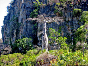 Amber Mountain (Montagne d'Ambre) in Northern Madagascar