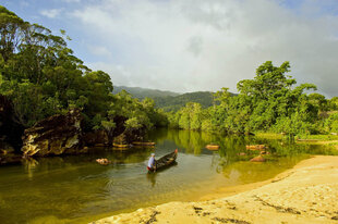 By Pirogue into a creek in the Masoala Peninsula