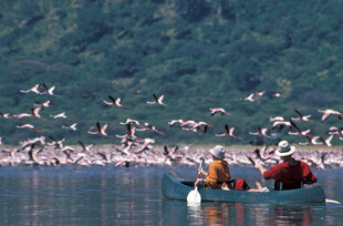 Kayaking & Birdwatching in Tanzania Momela Lakes of the Arusha National Park