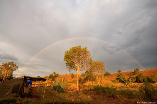 Rainforest over our Mobile Safari Camp in Mangabe Madagascar