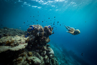 Snorkelling at Ayada Maldives in Huvadhu Atoll