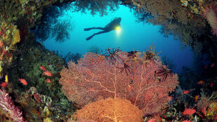 Scuba Diving at Komandoo Maldives Resort on Lhaviyani Atoll