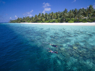 Snorkelling on the House Reef at Filitheyo Resort Maldives on Faafu Atoll