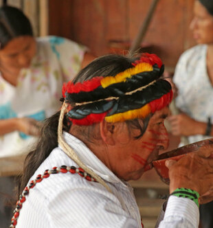 Achuar man drinking Wayu