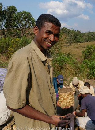 Tree planting in Madagascar using non-plastic hand-woven biodegradable pots