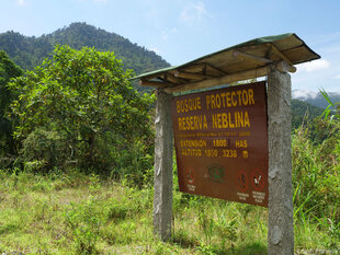 The Neblina Reserve are we have been helping Rainforest Concern to expand