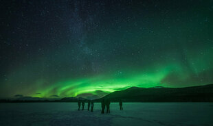 Tranquil scene of the Aurora borealis (Northern Lights) in Arctic Norway