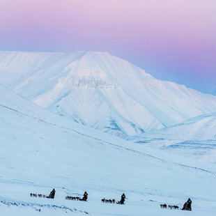 Longyearbyen Snowscape