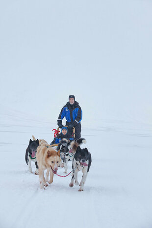 Dog Sledding