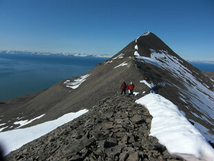hiortfjellet-hurtigruten-svalbard-foto-svalbard-wildlife-expeditions.jpg