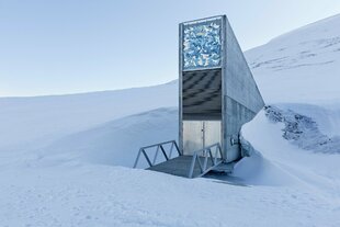 seed-vault-spitsbergen-svalbard.jpg