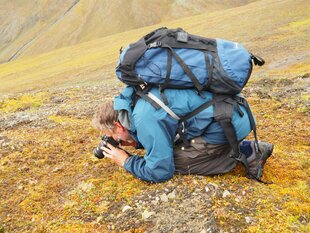 Fossil Hunting, Svalbard