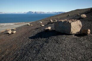 Fossil Hunting, Svalbard