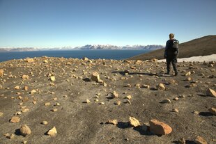 Fossil Hunting, Svalbard