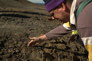 Svalbard Fossil Hunting