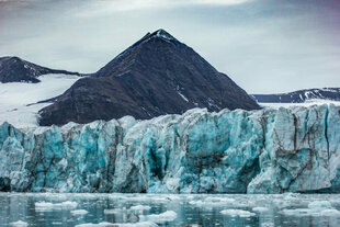 Glacier, Borebukta Walrus Safari