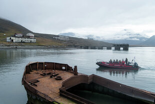 Coles Bay, Svalbard