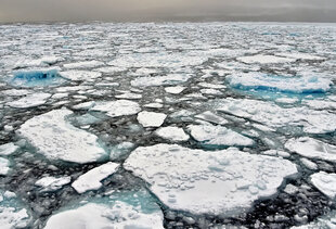 Sea Ice in the Northwest Passage