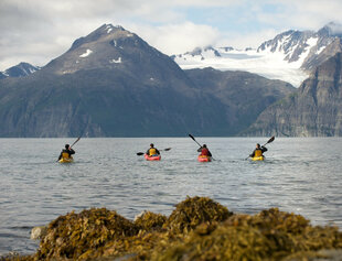 Kayaking in the Lyngen Alps