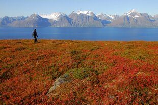 Hiking in Dalbergen, Lyngen Alps