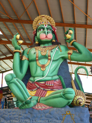 Hanuman - the Hindu Monkey God
