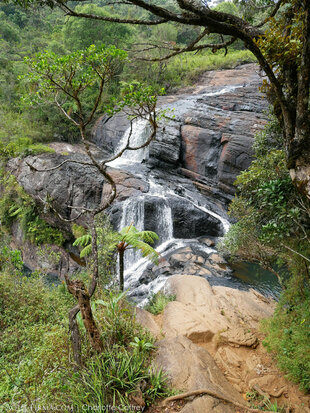 Horton Plains National Park Sri Lanka tree ferns & waterfalls through forested mountains