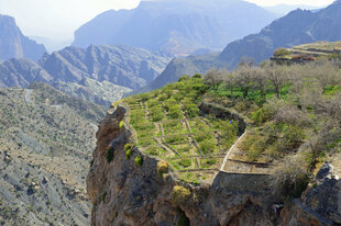 Jebel Akdhar - Oman's dramatic mountains
