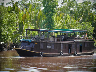 Borneo Rainforest River Cruise