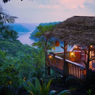 Overlooking Fjord & Rainforest