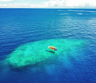 Dive & Snorkel boat sitting above coral reef