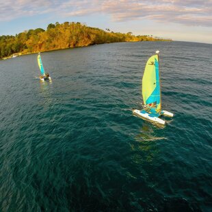 Sailing Hobie Cats