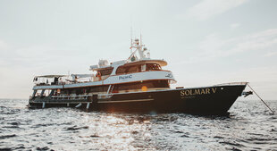 Solmar V