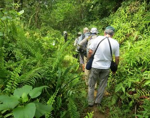 Stepping ashore for a rainforest hike