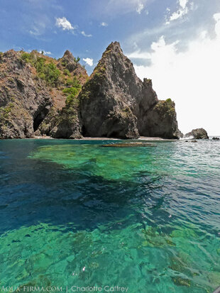 Classic snorkel & dive site off Dominica's coast