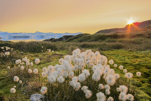 Sunset in South Greenland