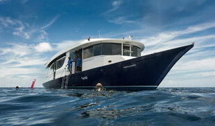 Dive Dhoni - Maldives Serenity scuba diving liveaboard